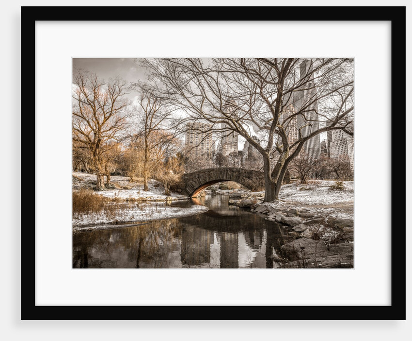 Central park in New York by Assaf Frank